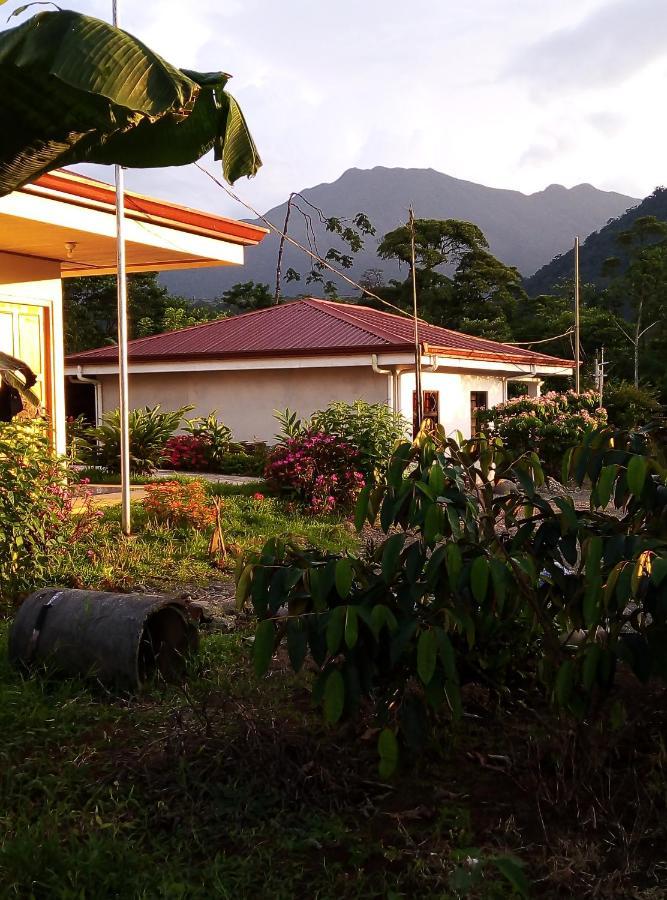 Cabinas El Pilon Rio Celeste 外观 照片