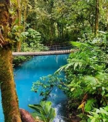 Cabinas El Pilon Rio Celeste 外观 照片