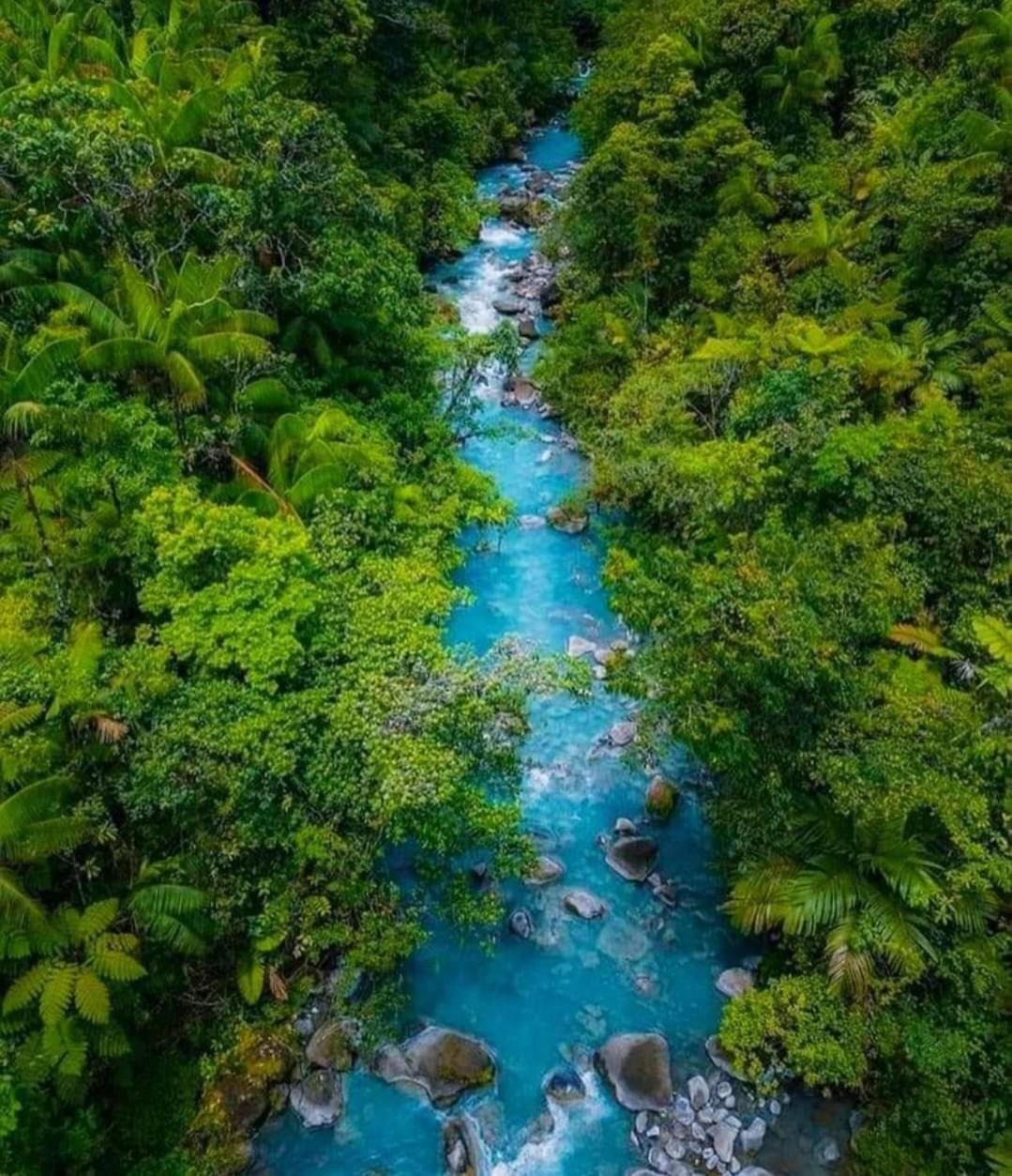 Cabinas El Pilon Rio Celeste 外观 照片